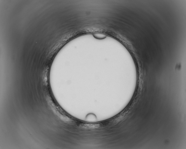 X0000115110065200912081331