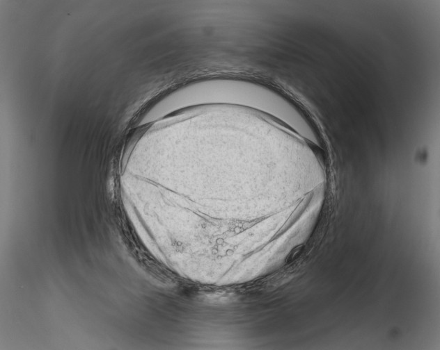 X0000115110067200912081331