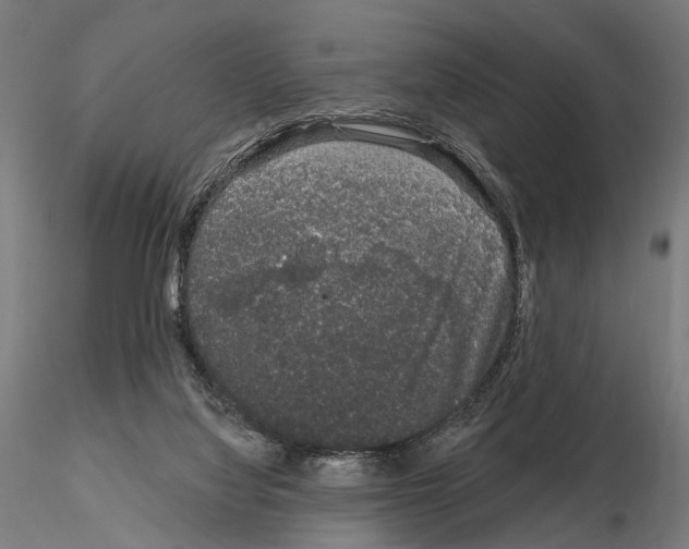 X0000115110068200912081331