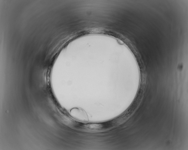 X0000115110069200912081331