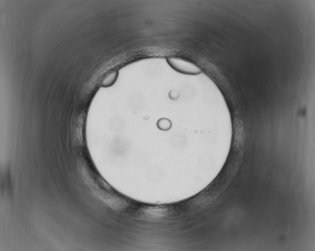 X0000115110071200912081331