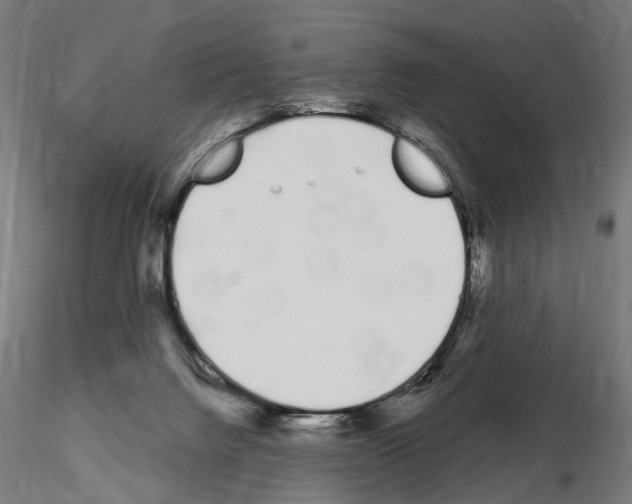 X0000115110072200912081331