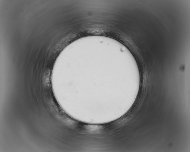 X0000115110073200912081331