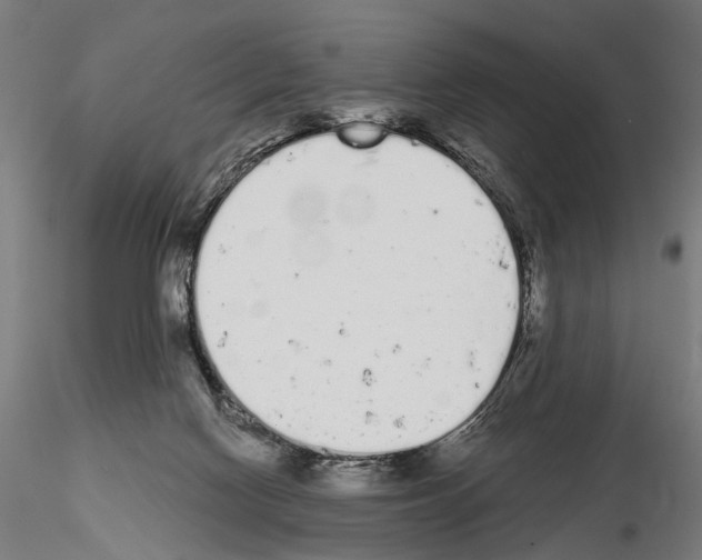 X0000115110074200912081331