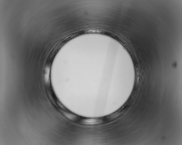 X0000115110075200912081331