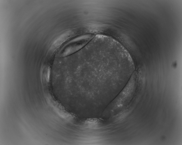 X0000115110076200912081331