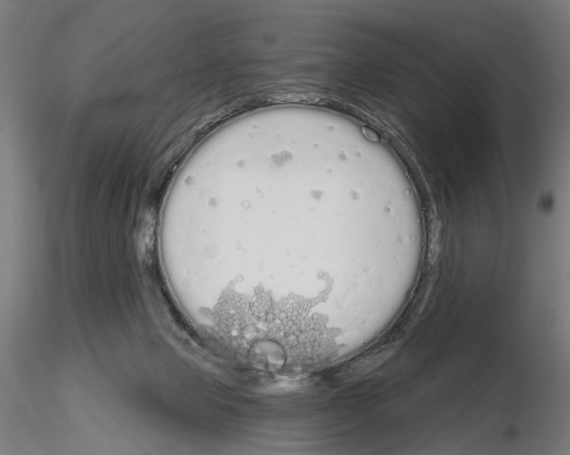 X0000115110077200912081331