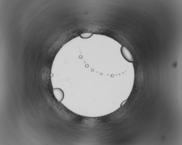 X0000115110079200912081331