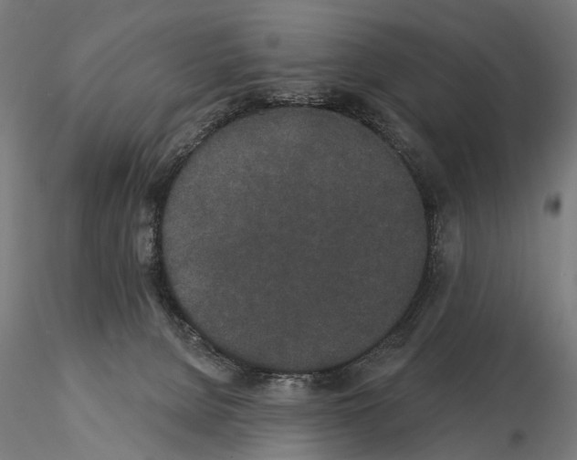 X0000115110080200912081331