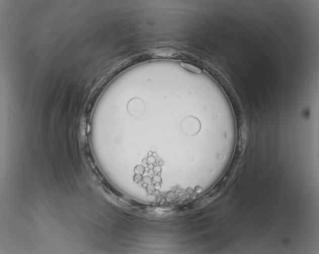 X0000115110081200912081331