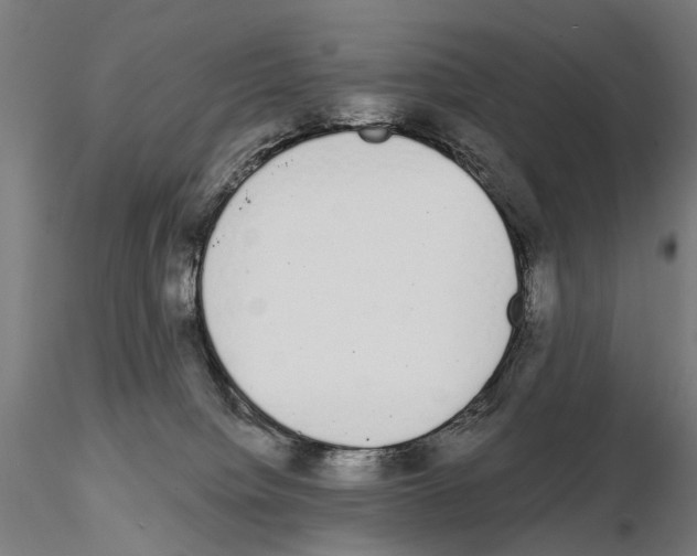 X0000115110084200912081331