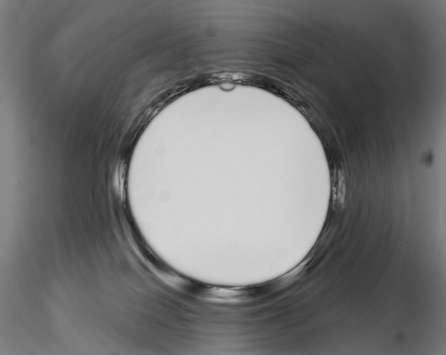 X0000115110086200912081331