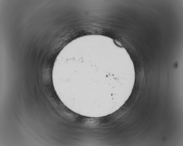 X0000115110088200912081331