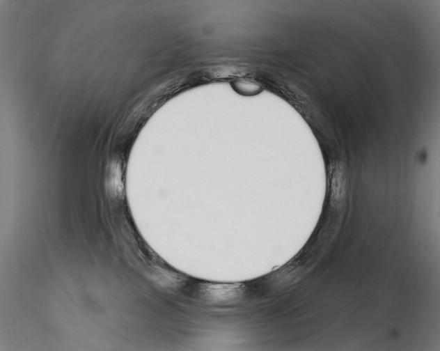 X0000115110089200912081331