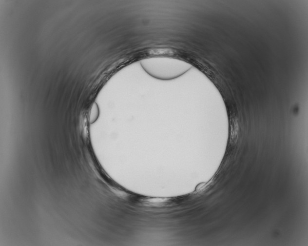 X0000115110090200912081331