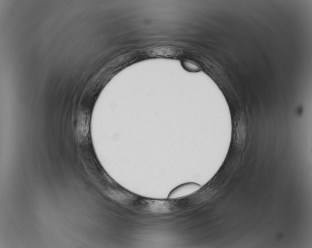 X0000115110091200912081331