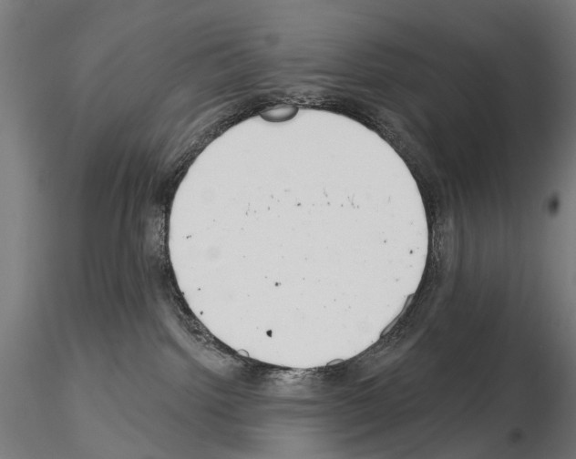 X0000115110092200912081331