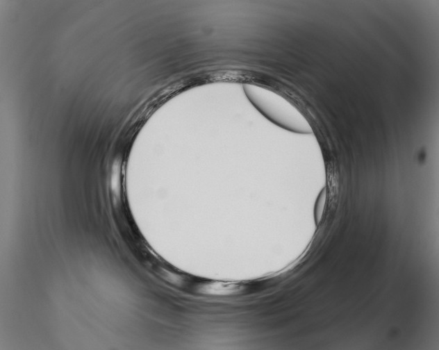 X0000115110094200912081331