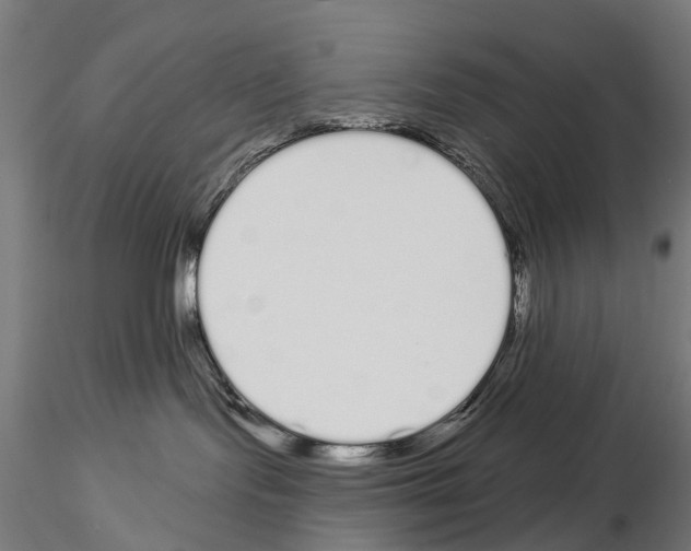 X0000115110095200912081331