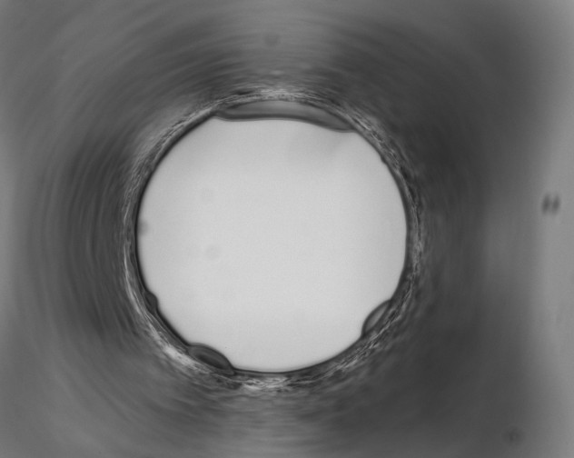 X0000115110097200912081330