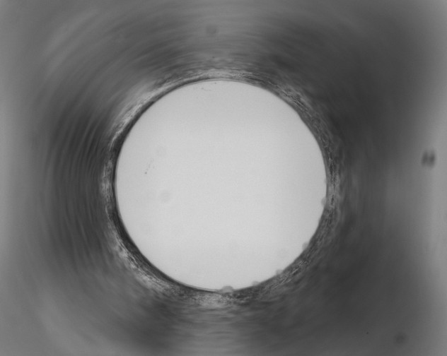 X0000115110098200912081330