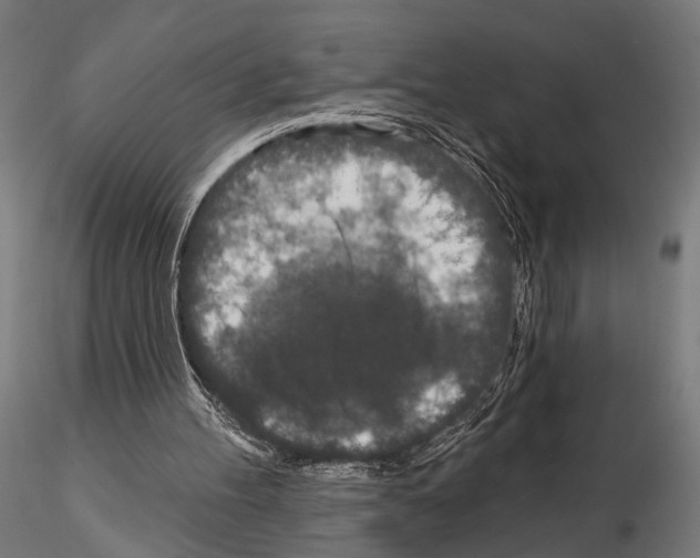 X0000115110100200912081330