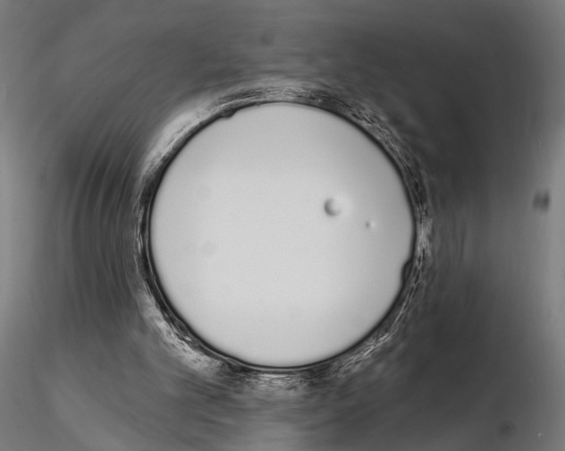 X0000115110101200912081330