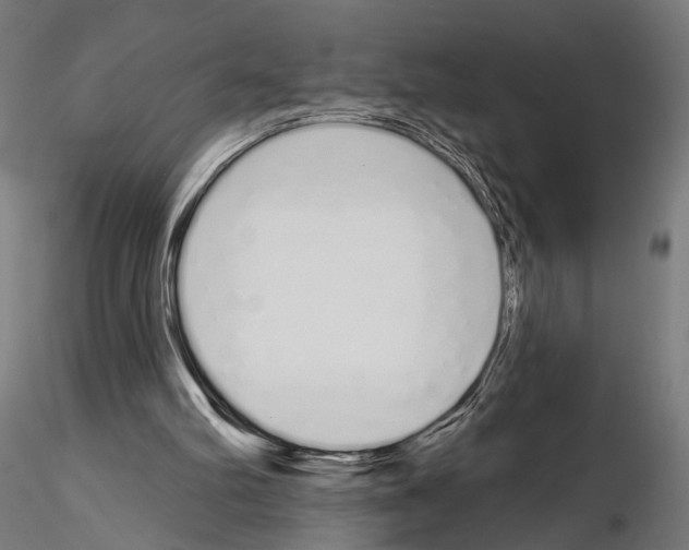 X0000115110102200912081330