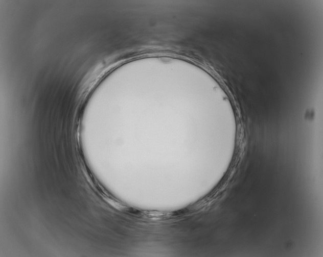 X0000115110103200912081330