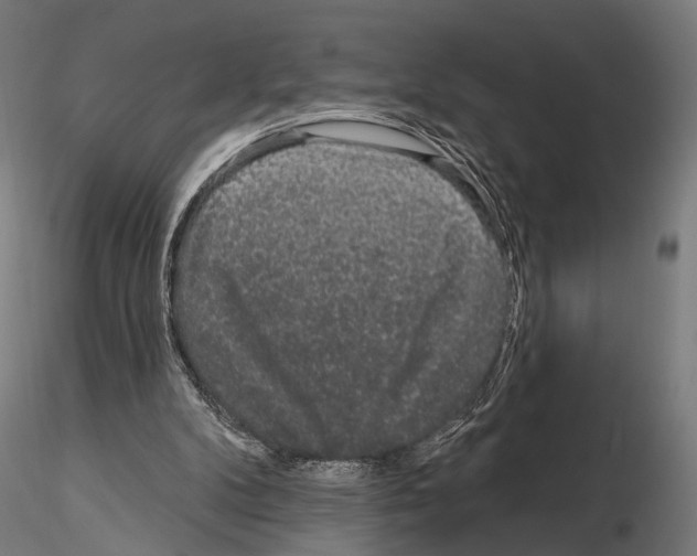 X0000115110104200912081330