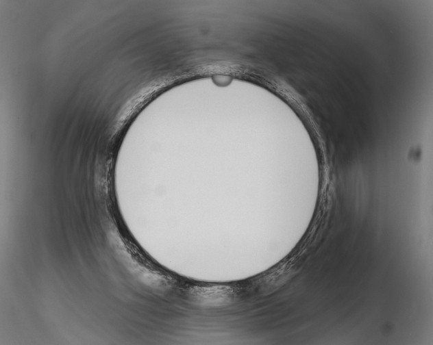 X0000115110106200912081330