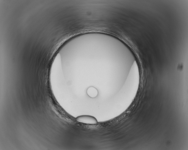 X0000115110107200912081330