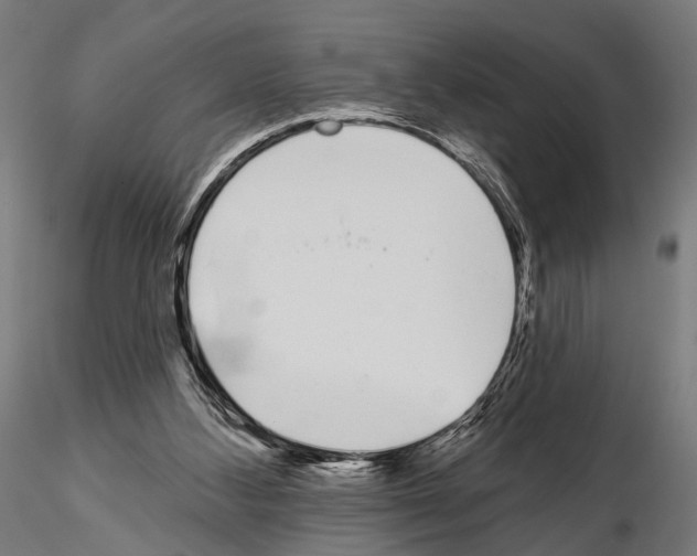 X0000115110108200912081330