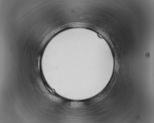 X0000115110109200912081330