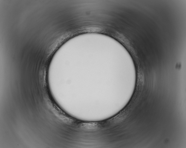 X0000115110110200912081330