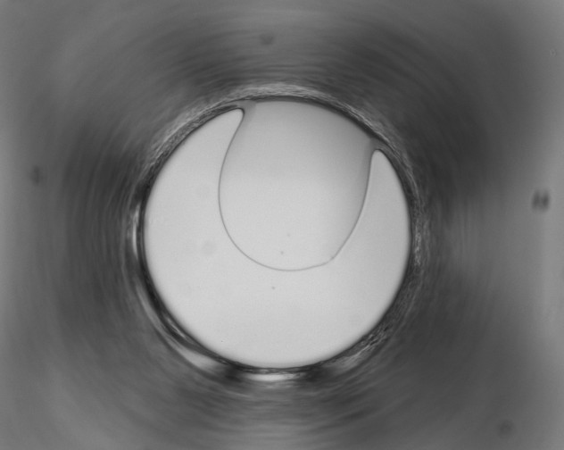 X0000115110111200912081330