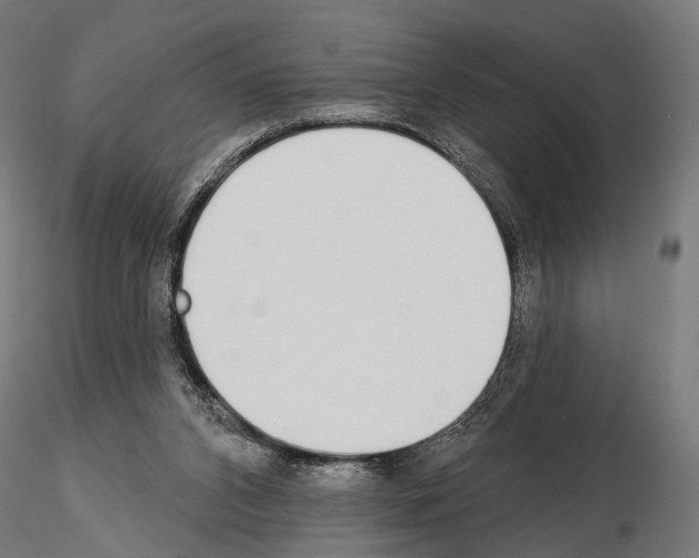 X0000115110112200912081330