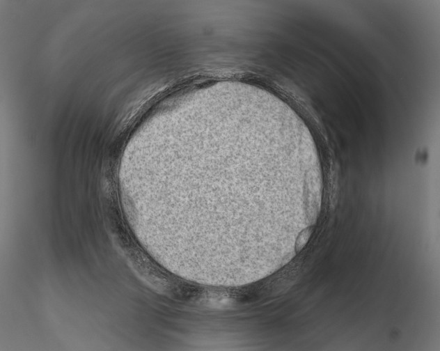 X0000115110114200912081330