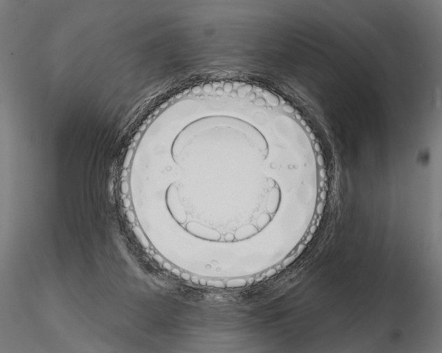 X0000115110115200912081330