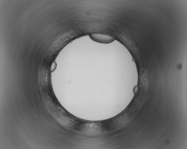 X0000115110117200912081330