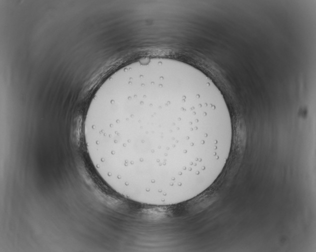 X0000115110118200912081330