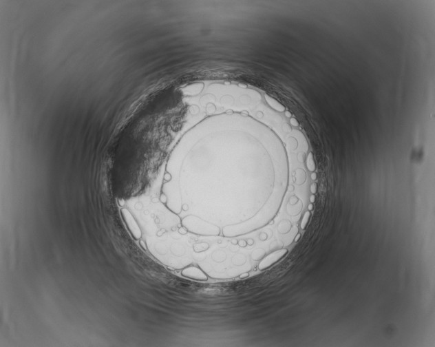 X0000115110119200912081330