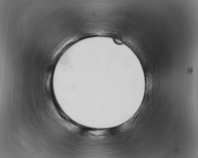 X0000115110120200912081330