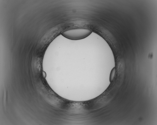 X0000115110121200912081330