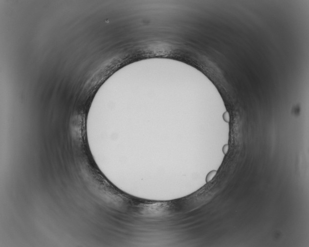 X0000115110122200912081330