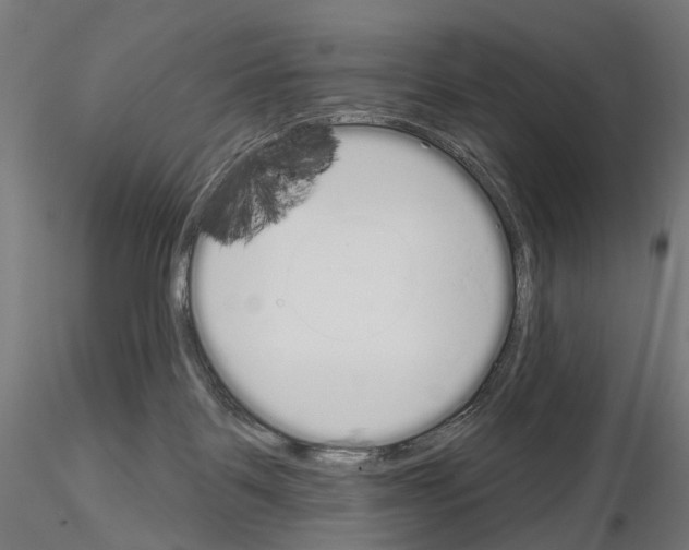 X0000115110123200912081330