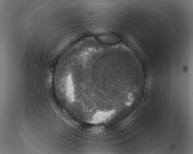 X0000115110124200912081330