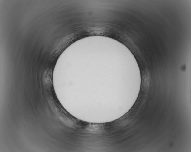 X0000115110126200912081330