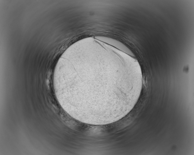 X0000115110127200912081330