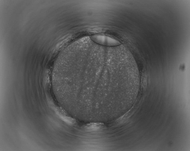 X0000115110128200912081330